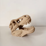 T-Rex Skull Display Piece